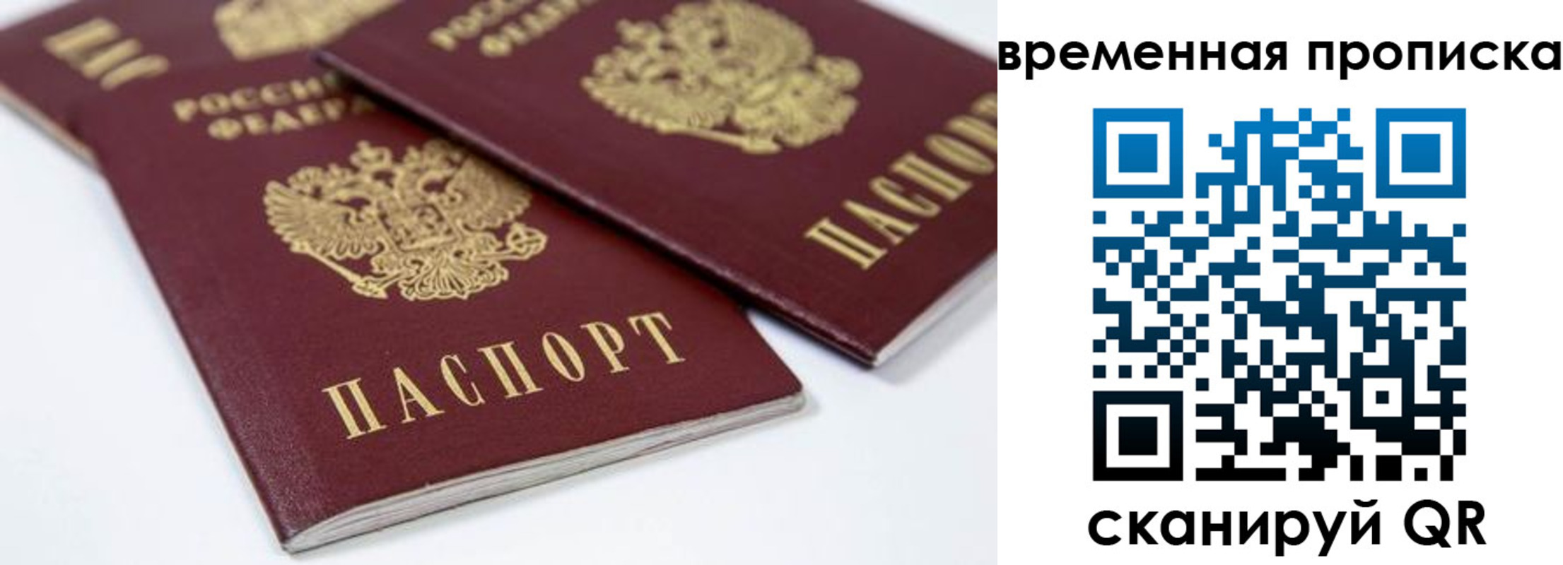 прописка для школы в Ртищево